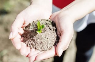 موفقیت در کارآفرینی