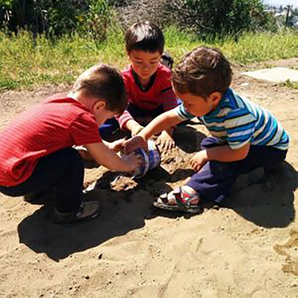 مکتب استراتژی و معنا بخشی نوظهور