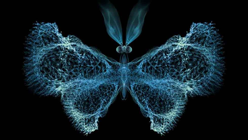 مکتب استراتژی و تئوری آشوب