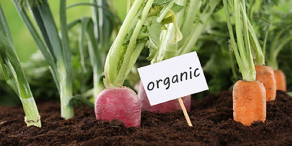 برنامه بازاریابی و روندها