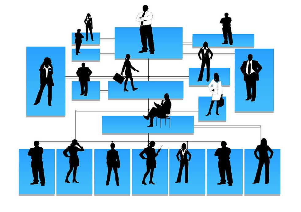 مارکتینگ پلن و ساختار سازمانی