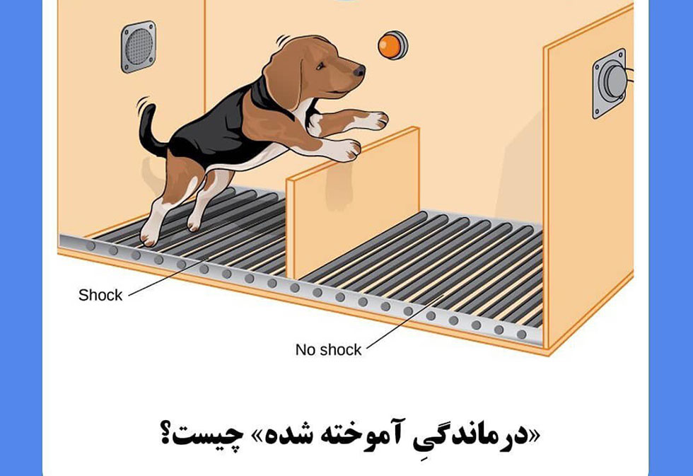 روانشناسی مثبت‌ گرا و درماندگی آموخته شده