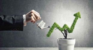 استراتژی های رشد کسب و کار