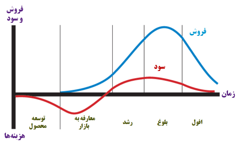 محصول جدید و چرخه عمر