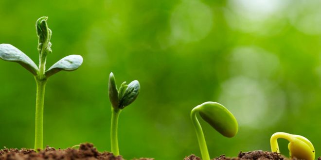 معنای زندگی