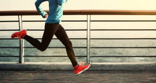 اندام متناسب