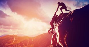 رهبری افقی و عمودی