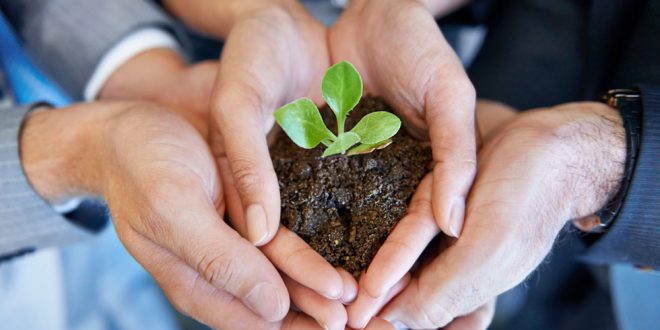 فرهنگ های سازمانی