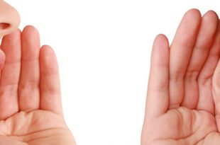 رسانه های اکتسابی